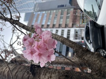 7e77dc6ee96ddaedc1e93cbdb60cd0be